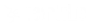 pearlvibe.com