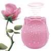 pink-rose pink rose